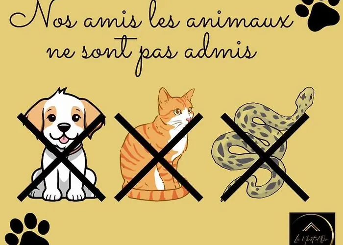 Semesterbostad L'escapade Verdoyante - Confort, Elegance, Cholet